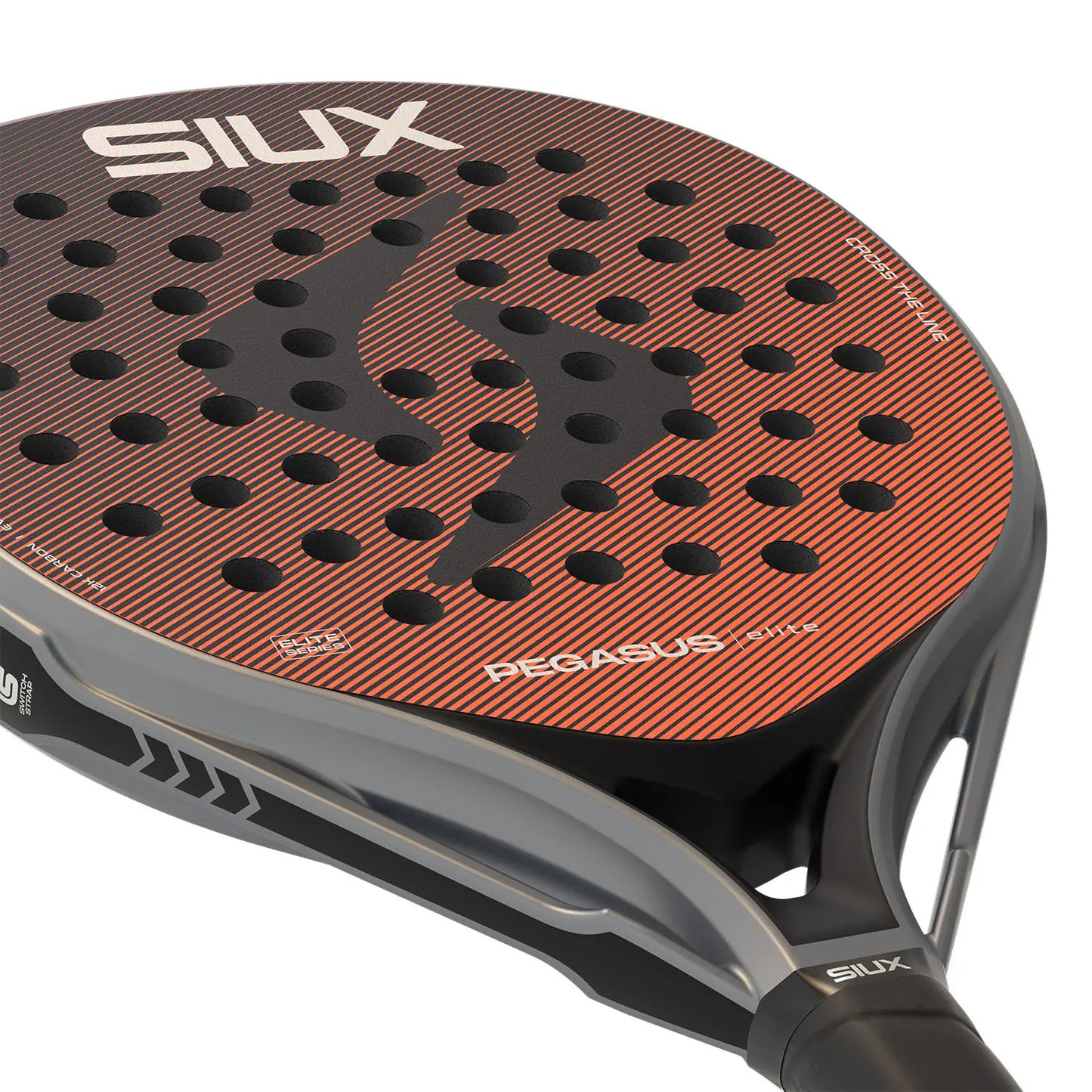 Siux Pegasus Elite 4 2026