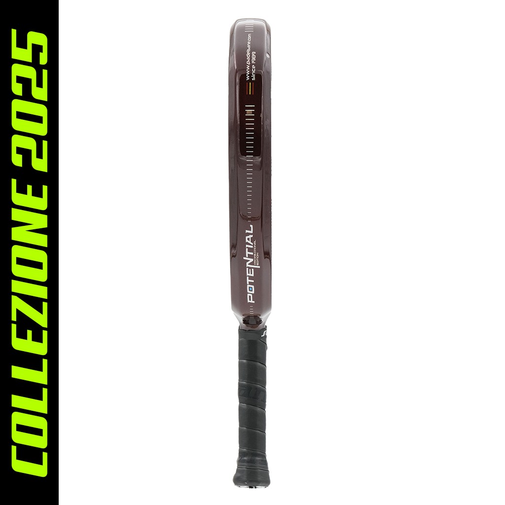 Sane Potential Professional Edition