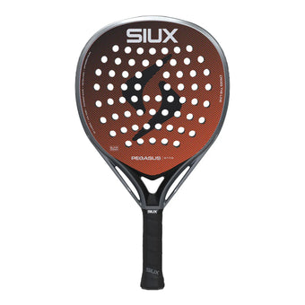 compare product Siux Pegasus Elite 4 2026