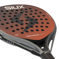 Siux Pegasus Elite 4 2026