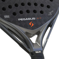 Siux Pegasus Pro Storm Grey Ale Chozas 2026
