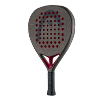 Head Coello Motion 2026