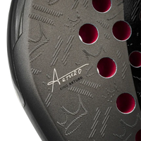 Head Coello Motion 2026