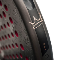 Head Coello Motion 2026