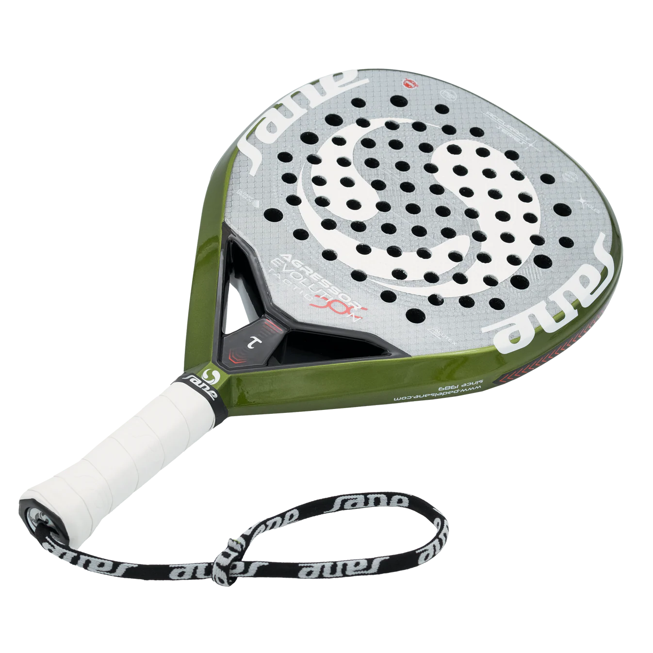 Sane Agressor Evolution Tactic