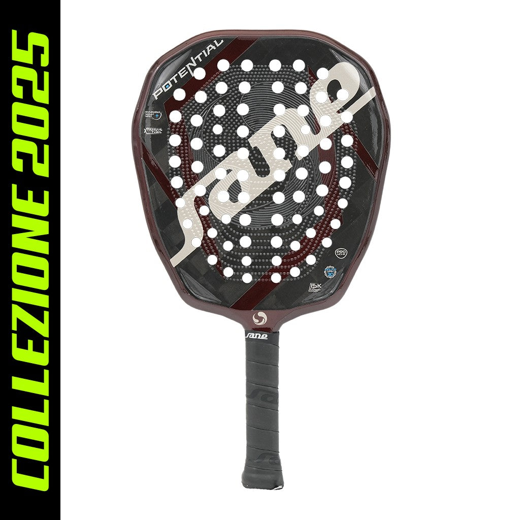 Sane Potential Professional Edition