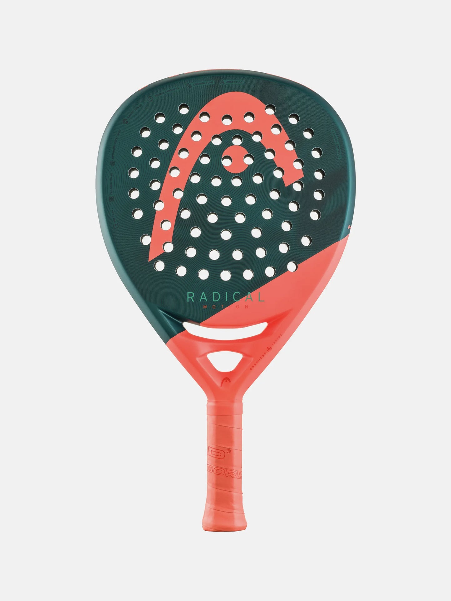 Head Radical Motion 2026